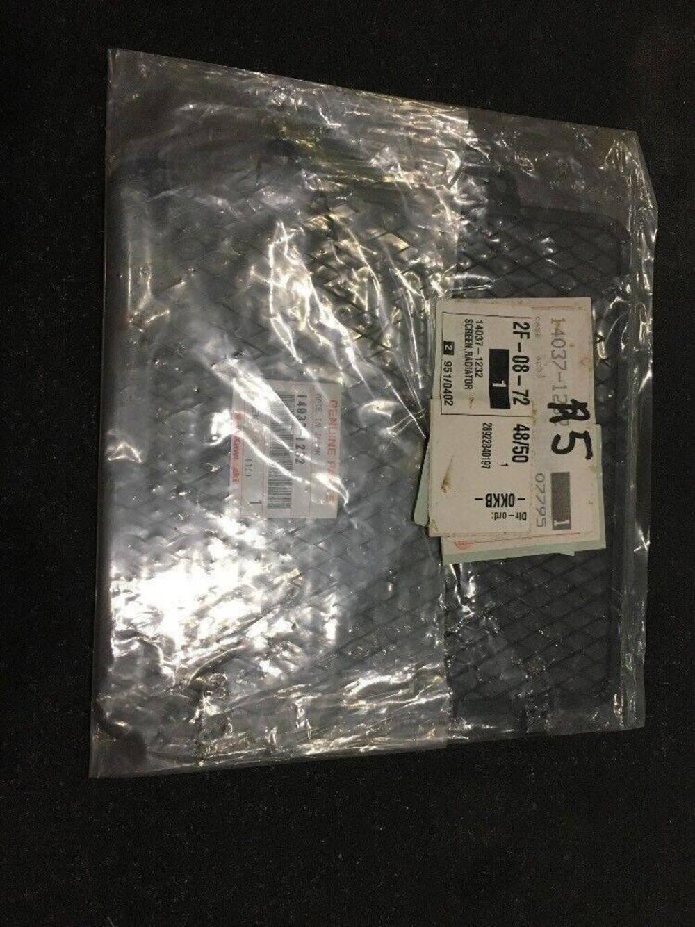 Griglia Radiatore Kawasaki Er500 07-05 (3)