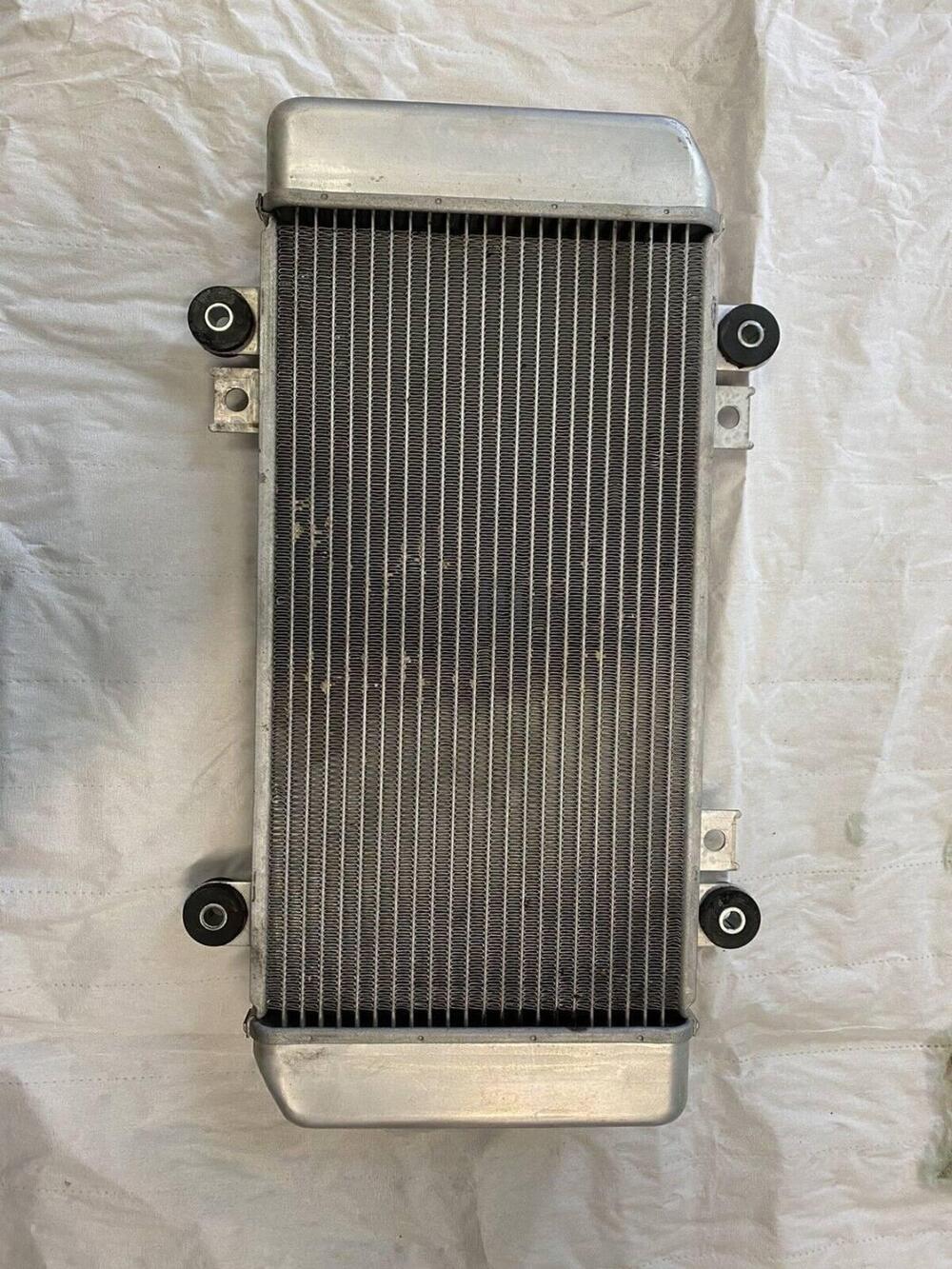 Radiatore Kawasaki Ninja 250 2008/2012 (6)