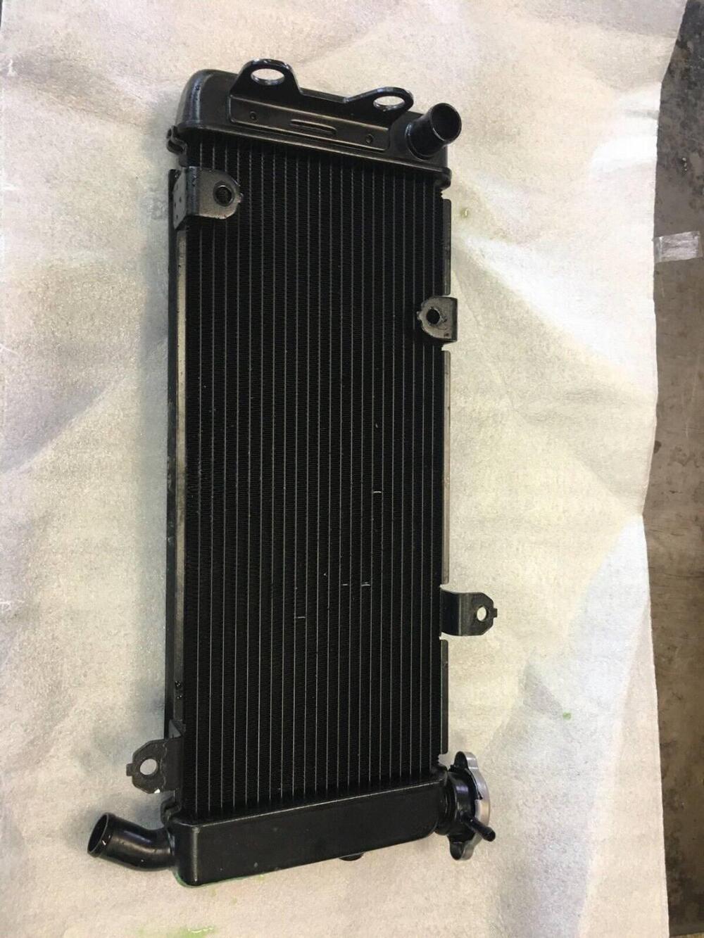 Radiatore Kawasaki Versys650 17/20 (7)