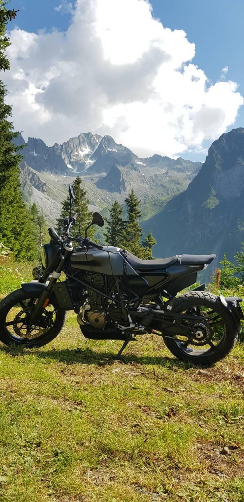 Husqvarna Svartpilen 701 (2019)