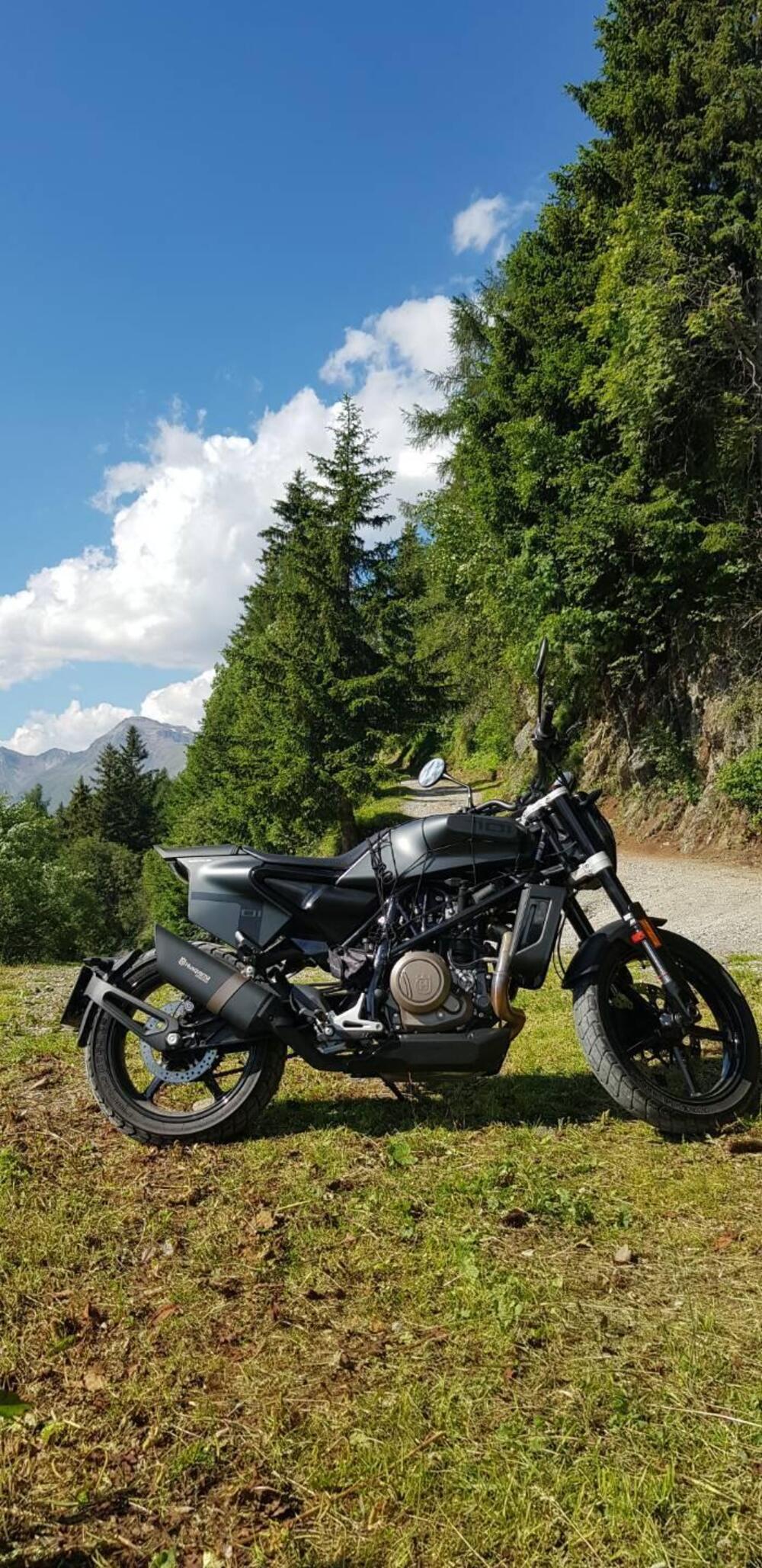 Husqvarna Svartpilen 701 (2019) (2)