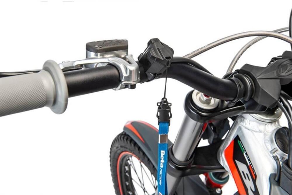 Betamotor Evo 300 SS 2T (2023 - 24) (3)