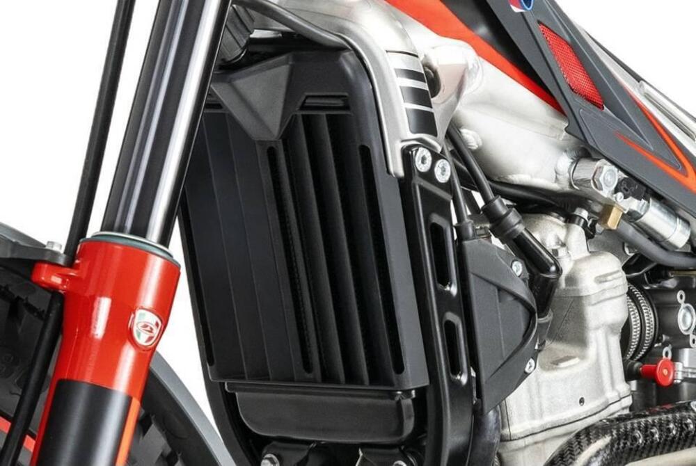 Betamotor Evo 300 SS 2T (2023 - 24) (6)