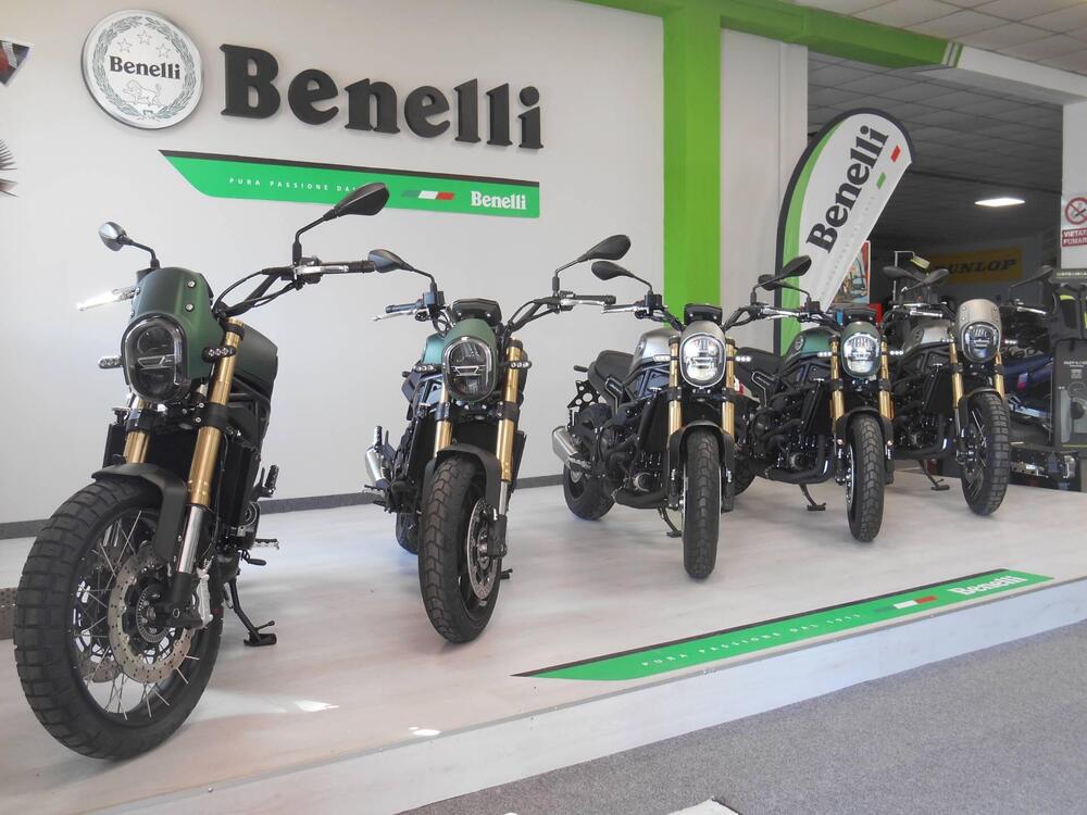 Benelli Leoncino 500 (2021 - 25) (11)