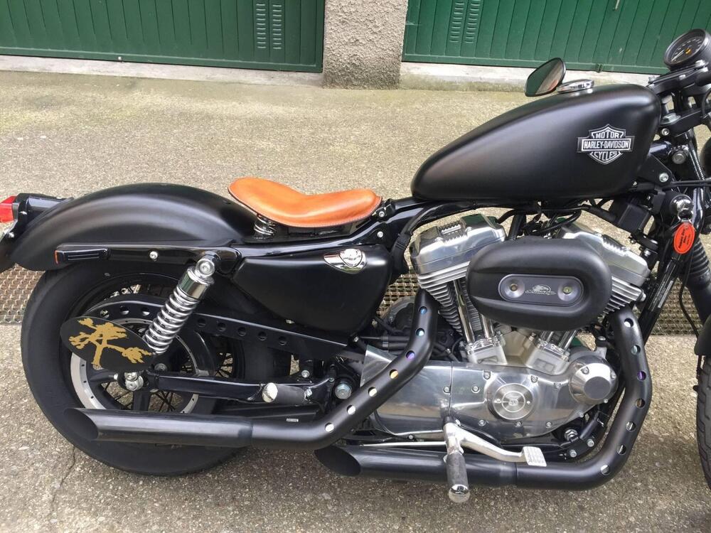 Harley-Davidson 883 (2006 - 07) - XL (2)