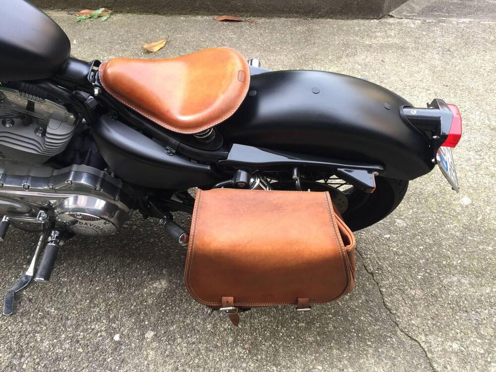 Harley-Davidson 883 (2006 - 07) - XL (3)