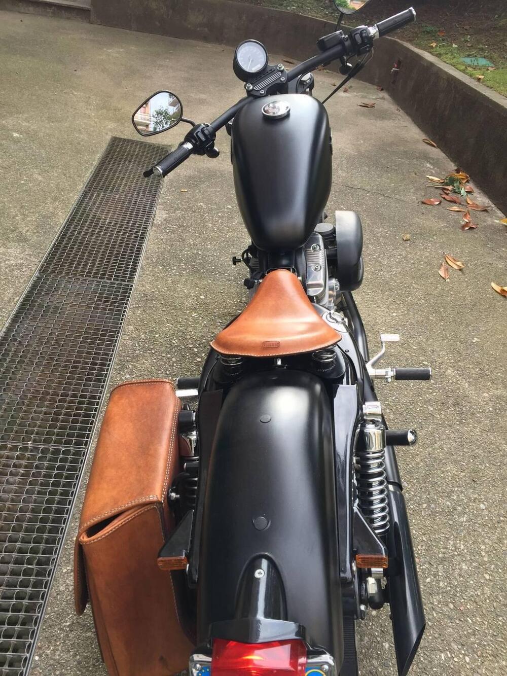 Harley-Davidson 883 (2006 - 07) - XL (4)