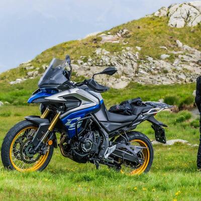 Voge Valico 525DSX (2023 - 25) nuova