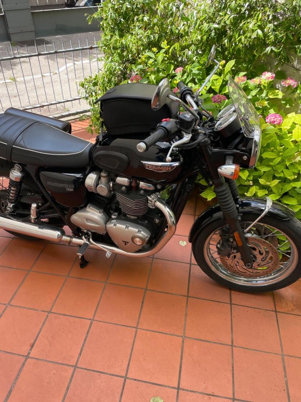 Triumph Bonneville T120 (2016 - 20) (3)