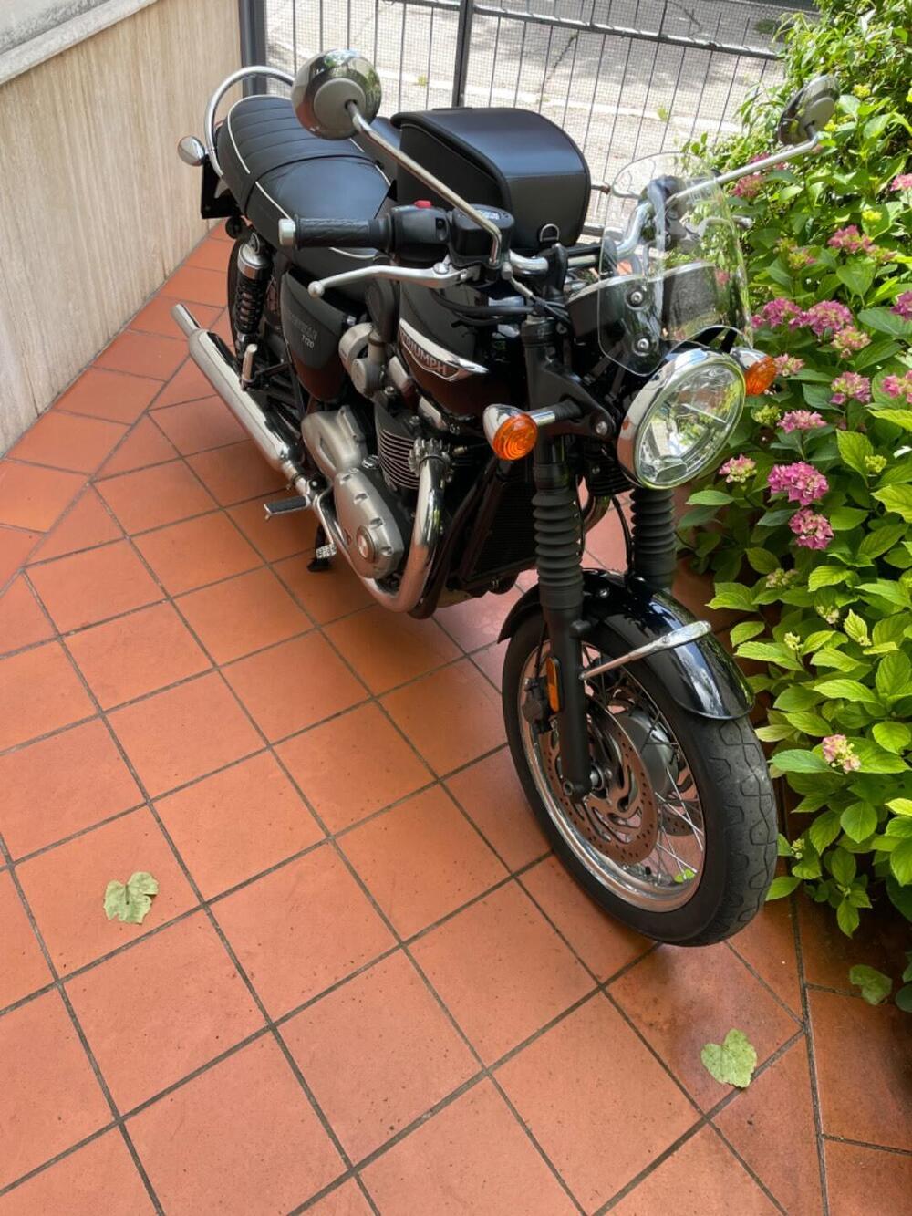 Triumph Bonneville T120 (2016 - 20) (4)