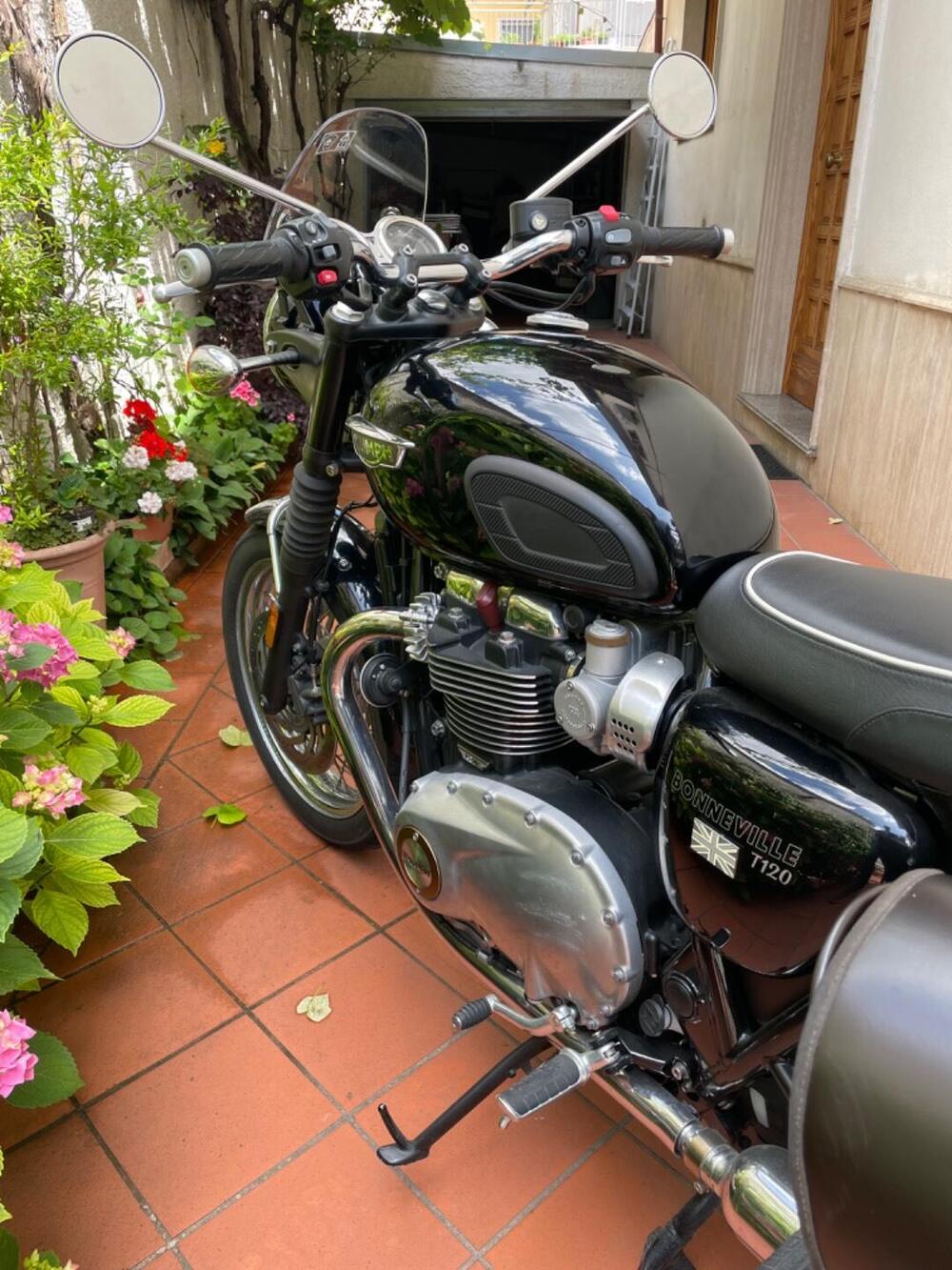 Triumph Bonneville T120 (2016 - 20) (5)