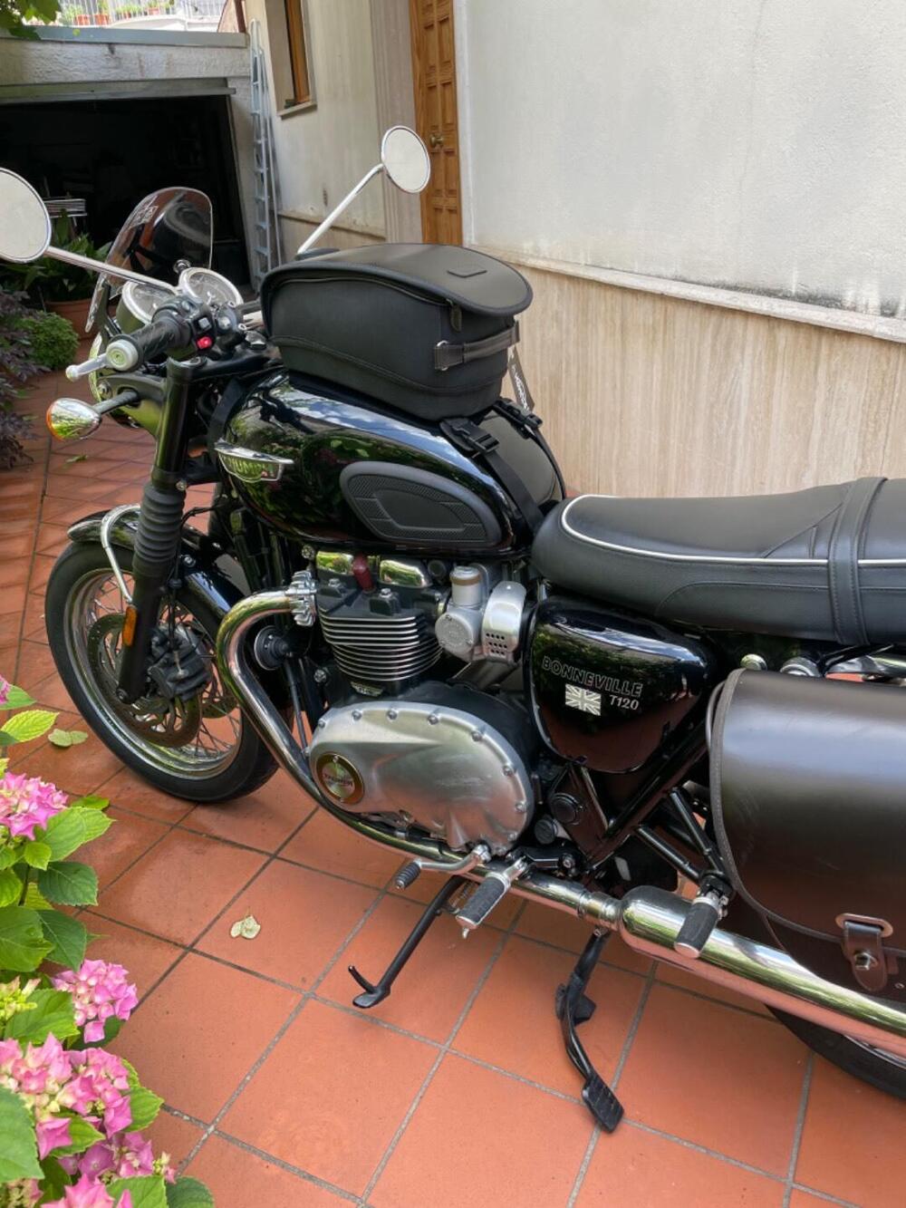 Triumph Bonneville T120 (2016 - 20) (6)