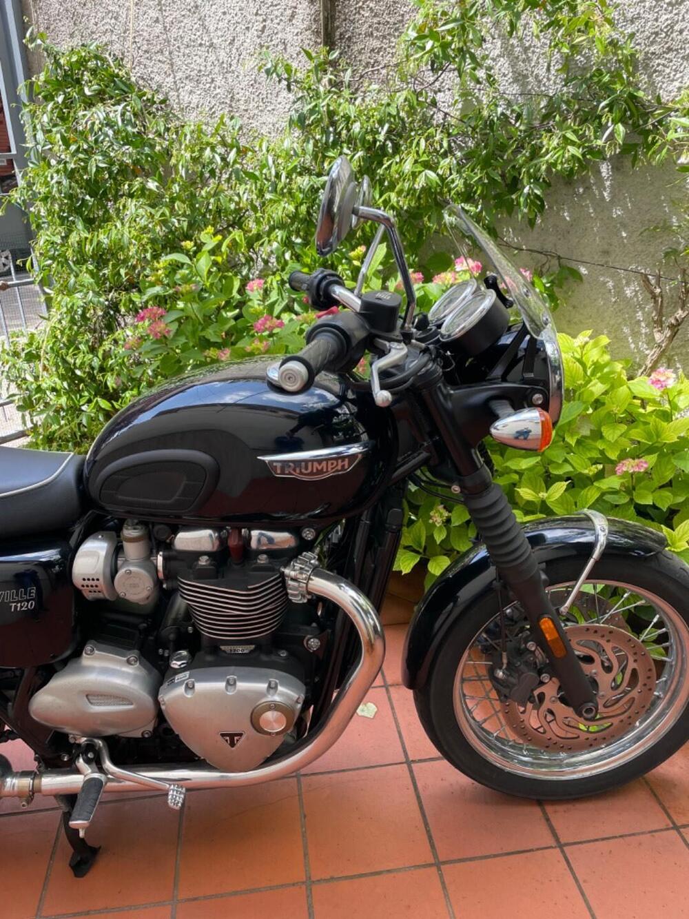 Triumph Bonneville T120 (2016 - 20) (8)