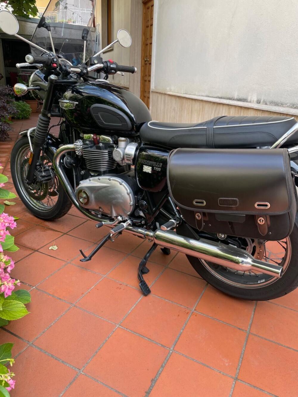 Triumph Bonneville T120 (2016 - 20) (9)