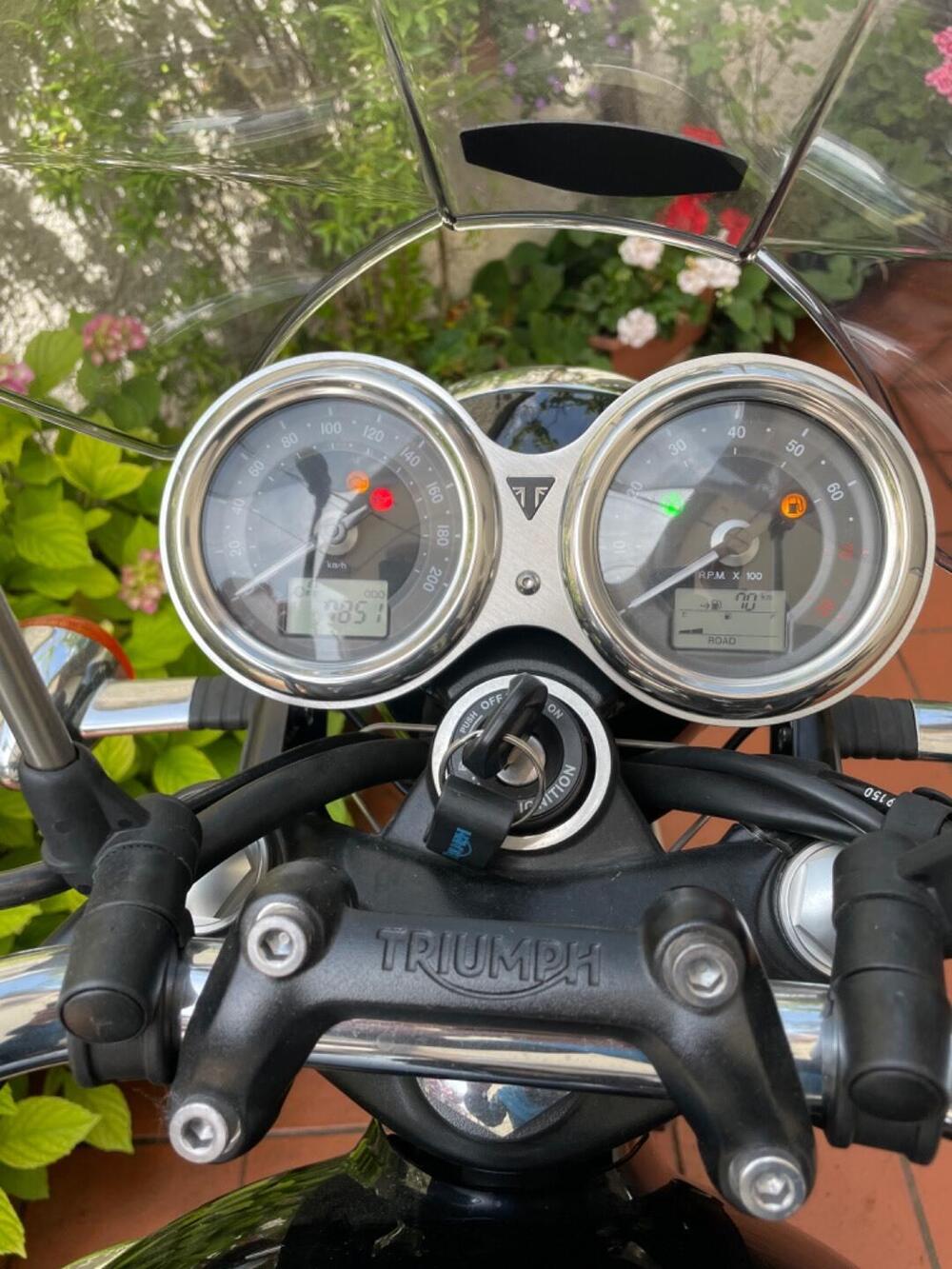 Triumph Bonneville T120 (2016 - 20) (10)