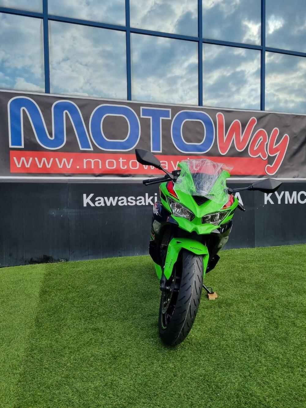 Kawasaki Ninja ZX-4RR (2024 - 26) (3)