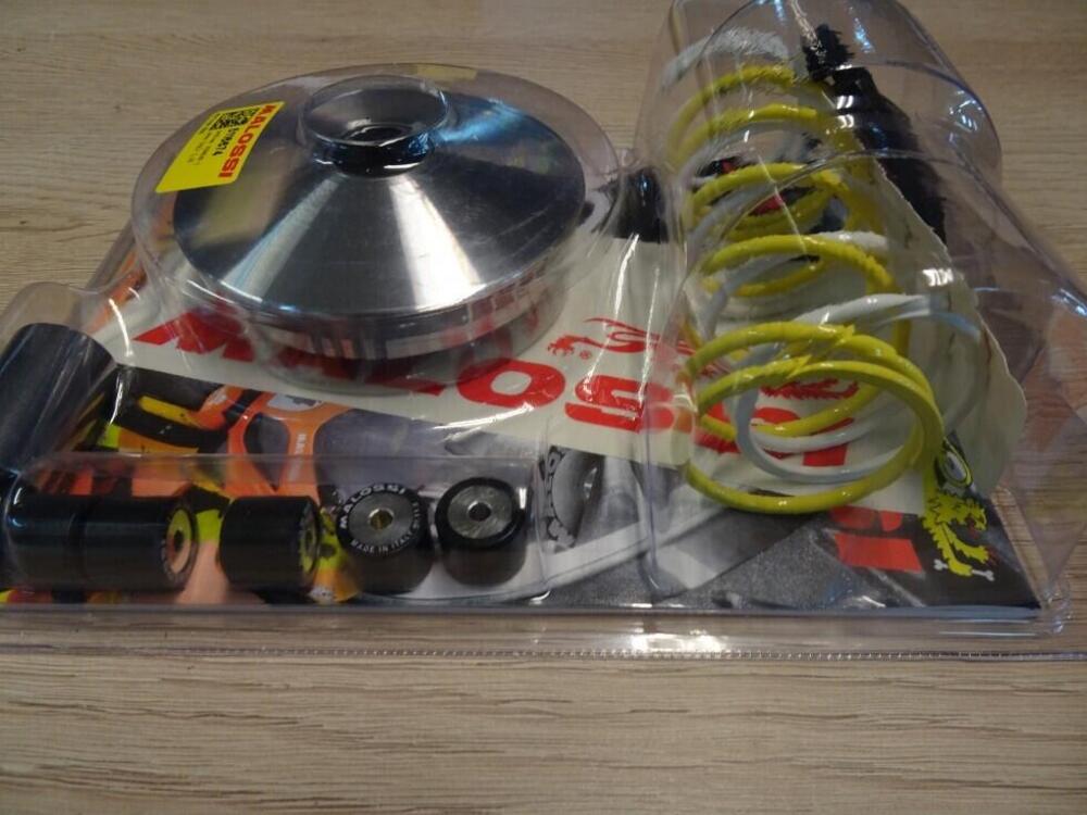 variatore Malossi (3)