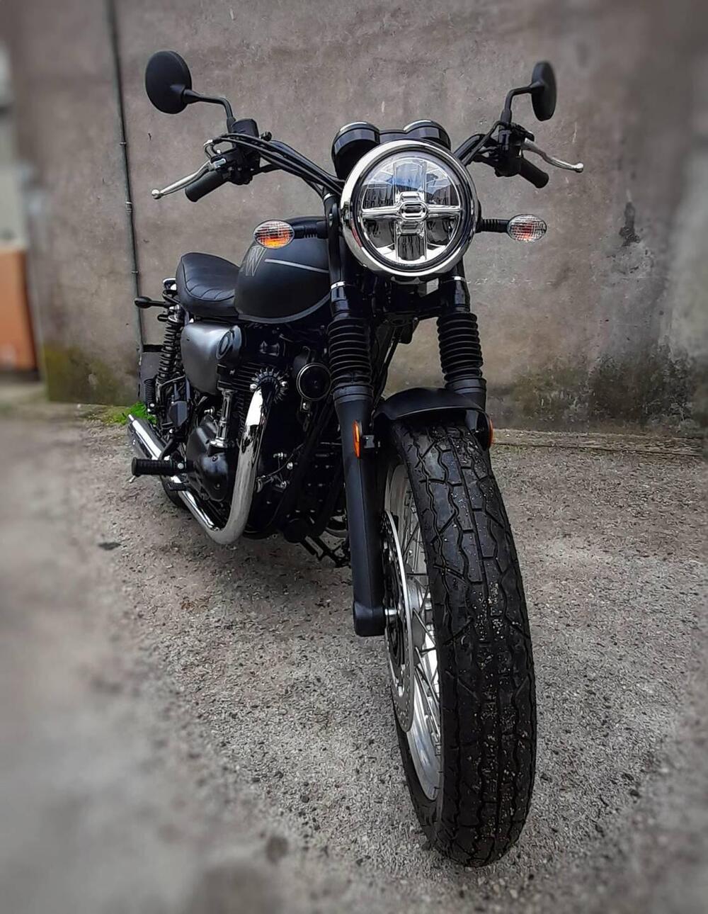 Kawasaki W 800 (2021 - 25) (6)