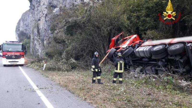 Camion investe un cervo, incidente mortale a Belluno