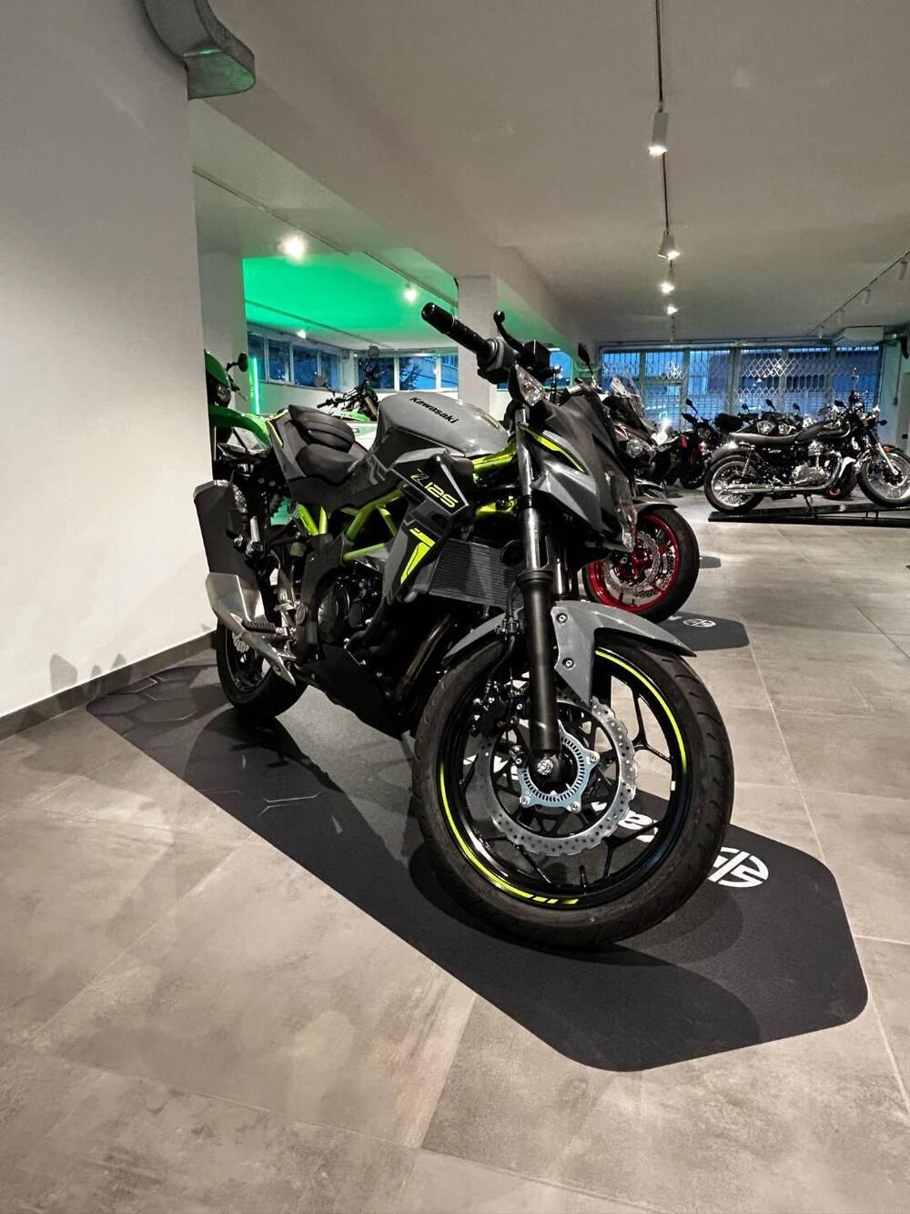 Kawasaki Z 125 (2021 - 24) (2)