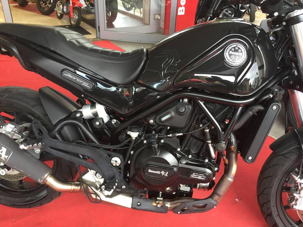 Benelli Leoncino 500 (2021 - 25) (5)
