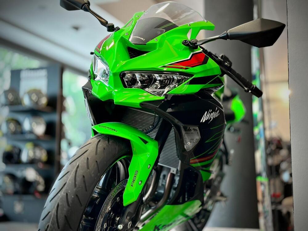 Kawasaki Ninja ZX-4RR (2024 - 26) (4)