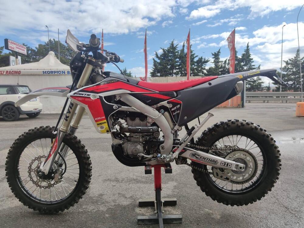 Fantic Motor XEF 250 Enduro Trail Competition (2023 - 25) (3)