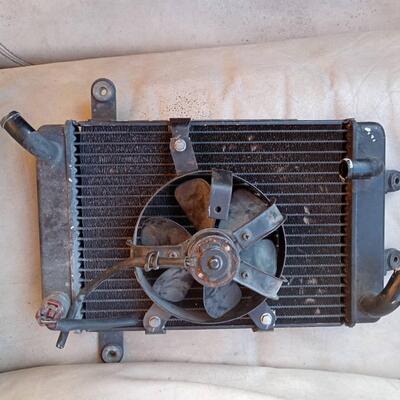 Radiatore Suzuki Burgman