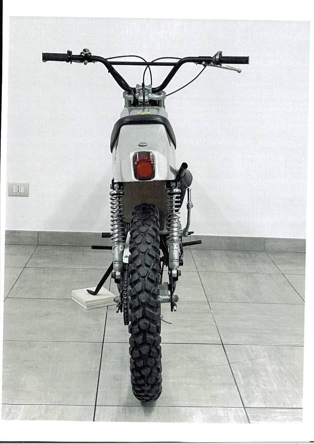 Aspes Aspes cross special '69 (4)