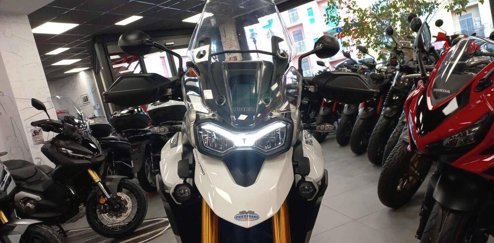 Triumph Tiger 900 Rally Pro (2020 - 23) (2)