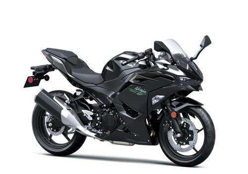 Kawasaki Ninja 500 (2024 - 26)