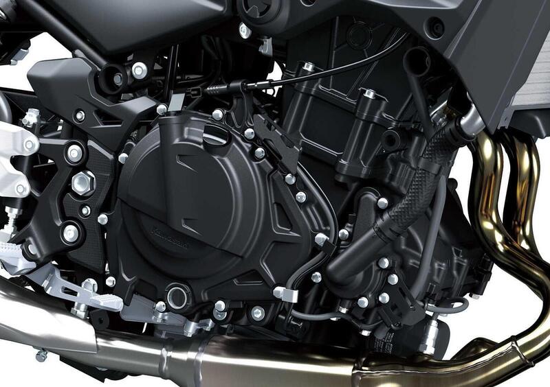 Kawasaki Z 500 Z 500 (2024 - 26) (5)