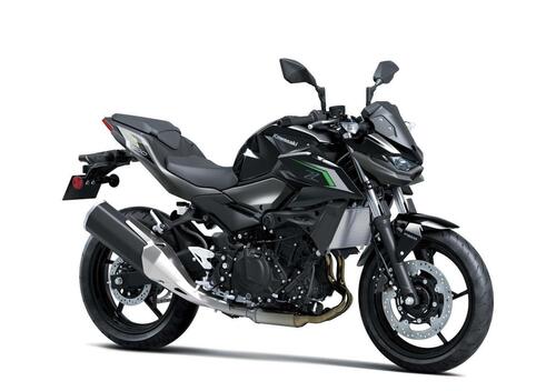 Kawasaki Z 500 (2024 - 25)