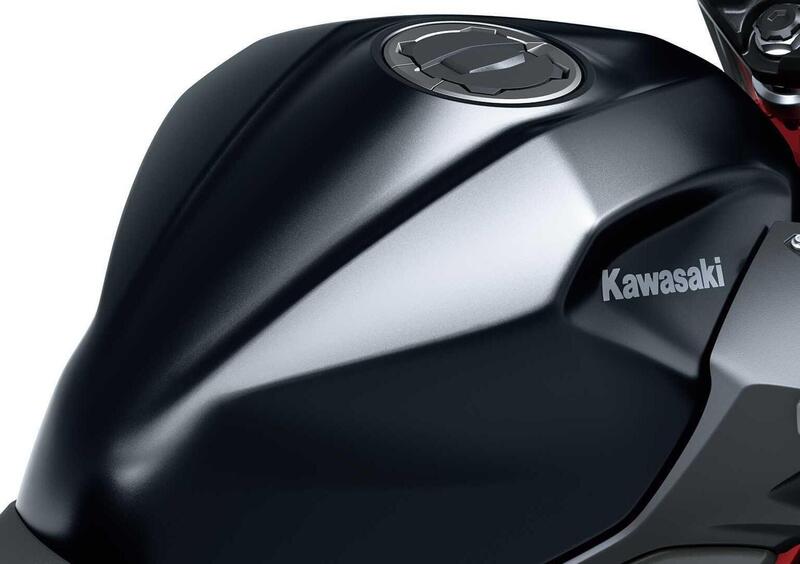 Kawasaki Z 500 Z 500 SE (2024 - 26) (15)