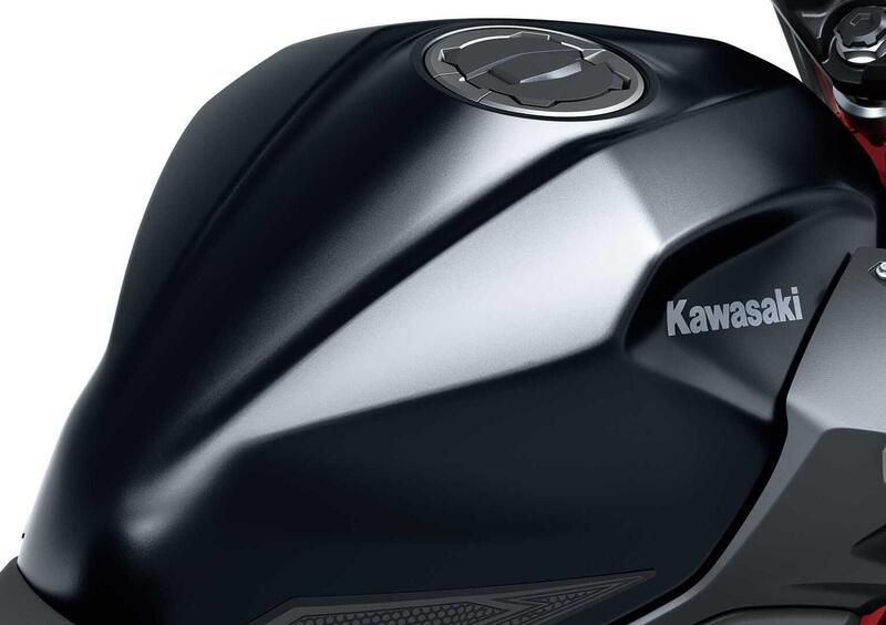 Kawasaki Z 500 Z 500 SE (2024 - 26) (16)