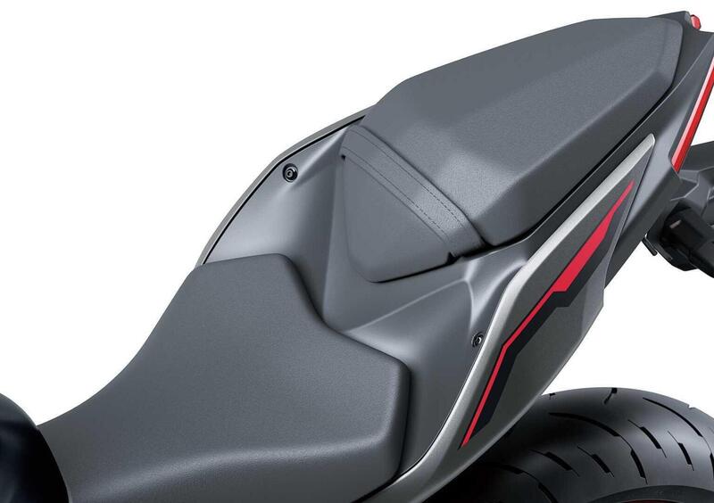 Kawasaki Z 500 Z 500 SE (2024 - 26) (13)