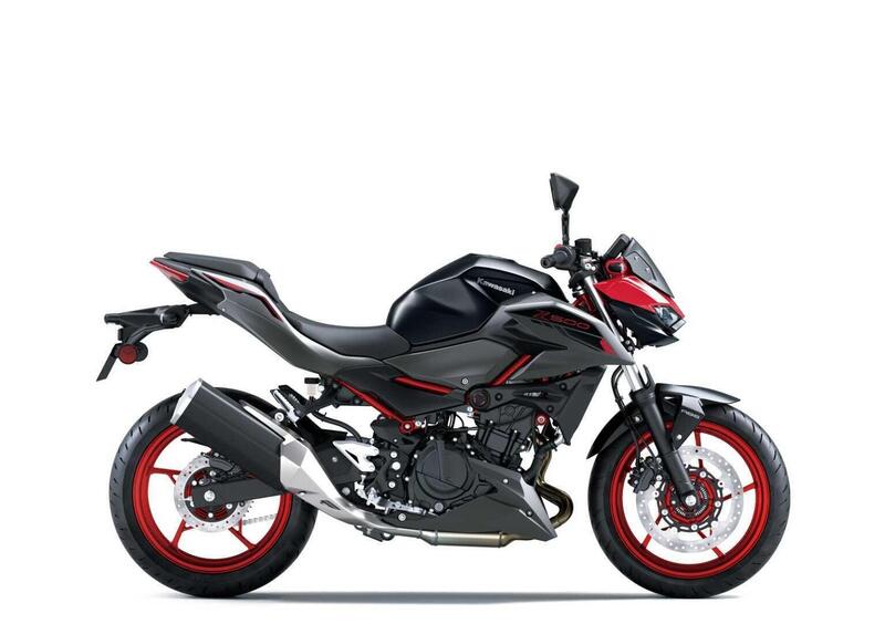 Kawasaki Z 500 Z 500 SE (2024 - 26) (5)