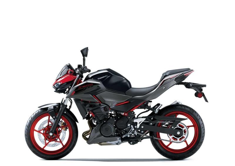 Kawasaki Z 500 Z 500 SE (2024 - 26) (7)