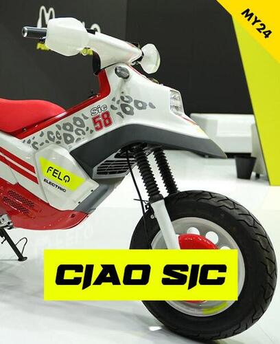 Felo Sic58