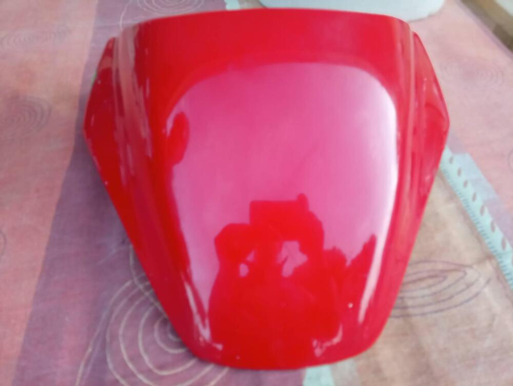 Coprisella Ducati Monster