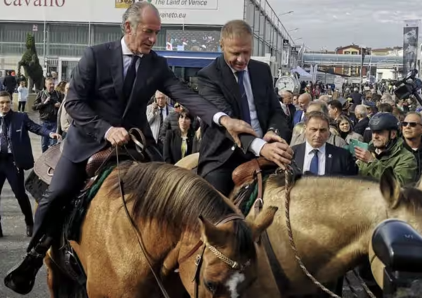 Lollobrigida difende i cavalli italiani ma monta una razza americana. Metafora di una carriera politica?