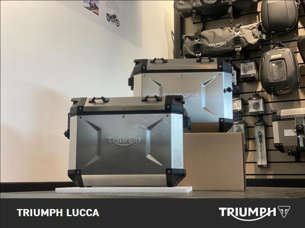 Triumph Tiger 1200 Rally Pro (2022 - 23) (6)