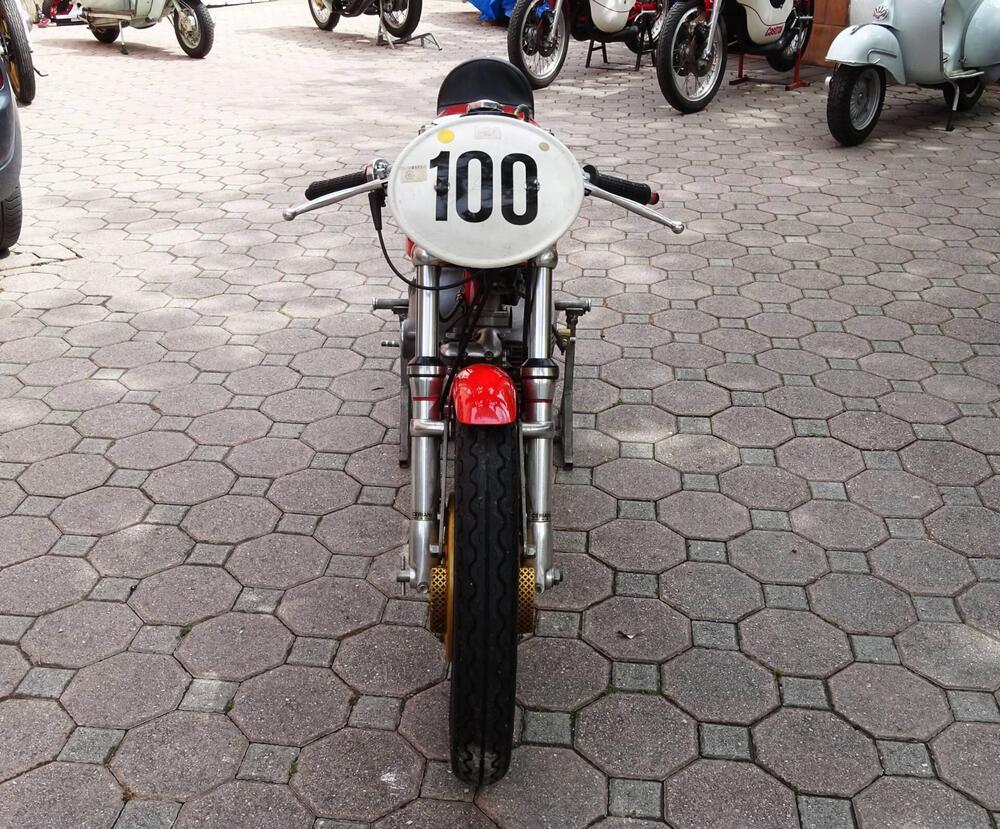 Aermacchi Harley-Davidson Aermacchi-Harley-Davidson-ANNO-1965-5-MARCE   (8)