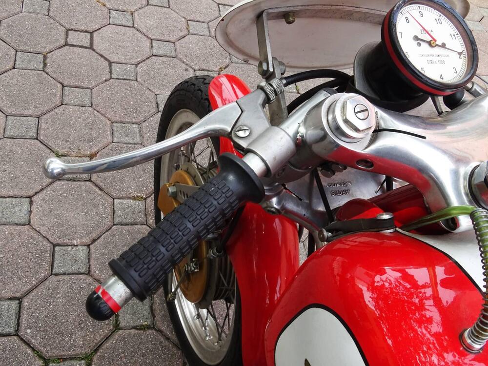 Aermacchi Harley-Davidson Aermacchi-Harley-Davidson-ANNO-1965-5-MARCE   (10)