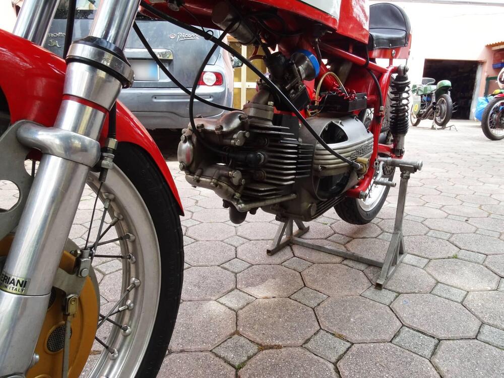 Aermacchi Harley-Davidson Aermacchi-Harley-Davidson-ANNO-1965-5-MARCE   (18)