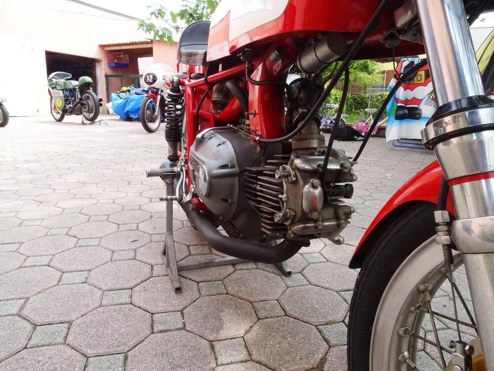 Aermacchi Harley-Davidson Aermacchi-Harley-Davidson-ANNO-1965-5-MARCE   (19)