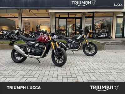 Triumph Speed 400 (2024 - 25) nuova