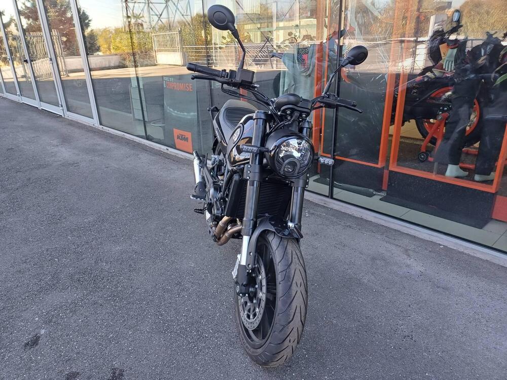 Benelli Leoncino 500 (2021 - 25) (2)