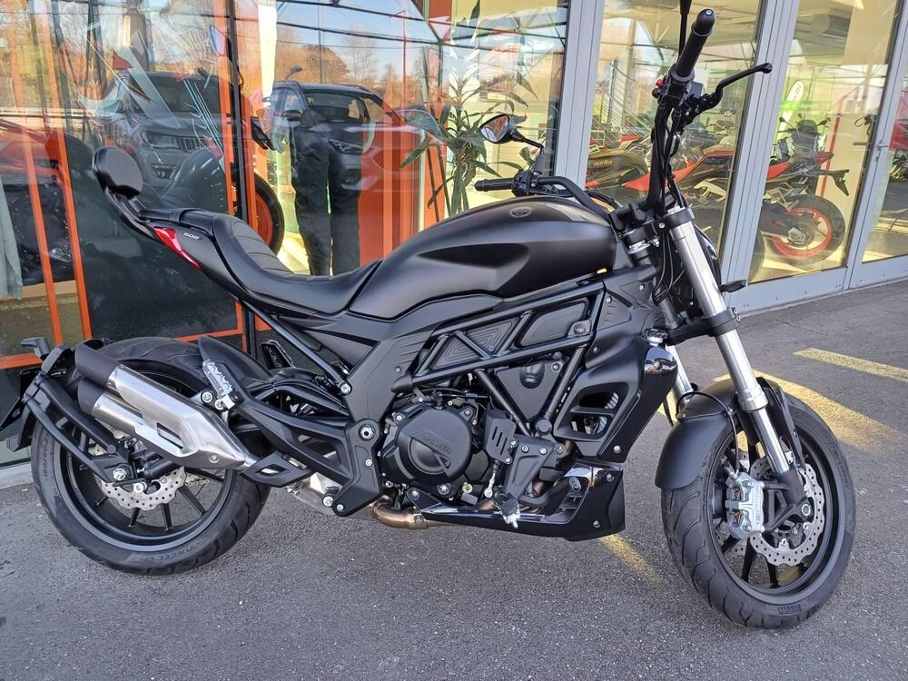 Benelli 502 C (2021 - 25)