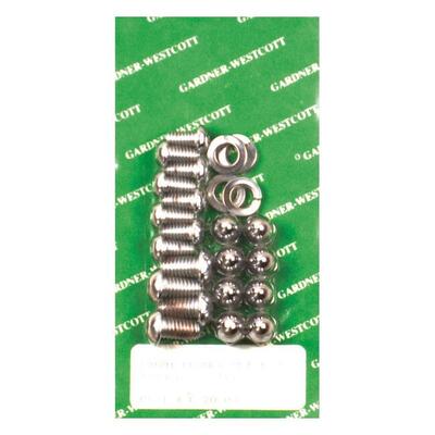 Viti montaggio parafango anteriore cromate per Spo 